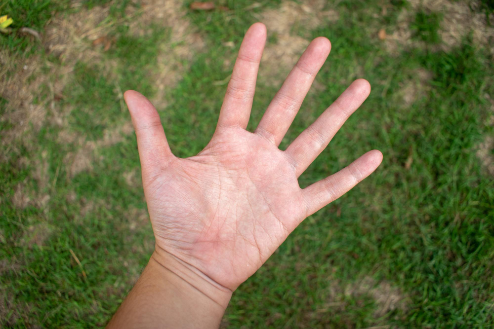 Būrimas iš delno linijų: ką sako tavo likimo linija?