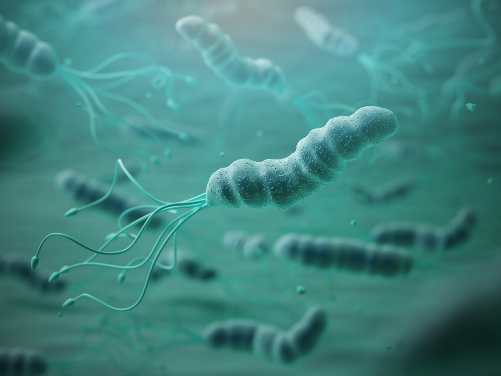 Kuo pavojingas Helicobacter pylori ir kaip jį gydyti?